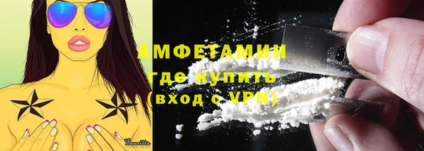 прущие грибы Переславль-Залесский