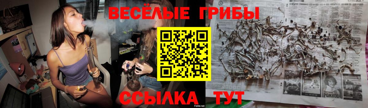 Галлюциногенные грибы Magic Shrooms Похвистнево